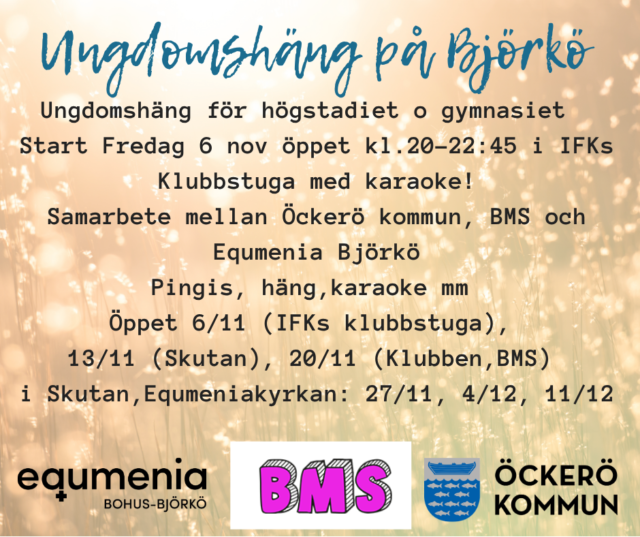 Ungdomsgäng på fredagar 20.00 – 22.45